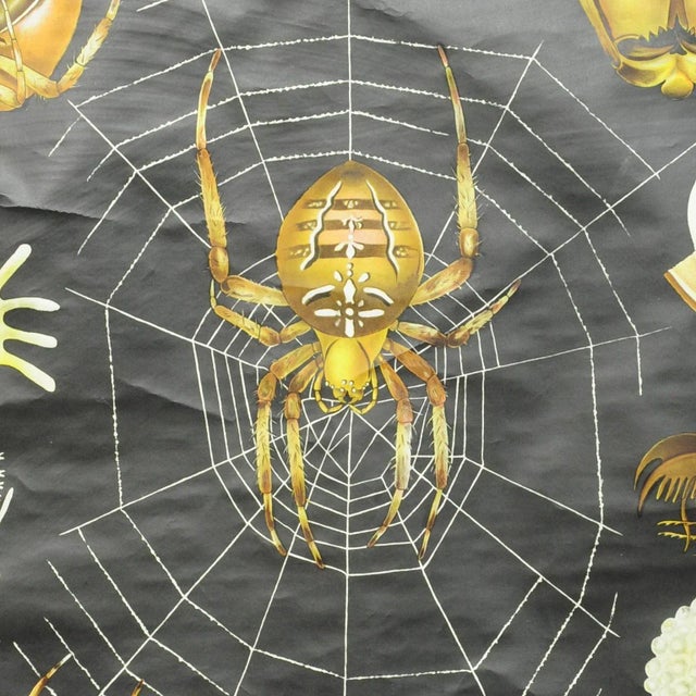 Vintage Cross Spider Araneus Marmoreus Rollable Wall Chart by Jung Koch Quentell For Sale - Image 3 of 7