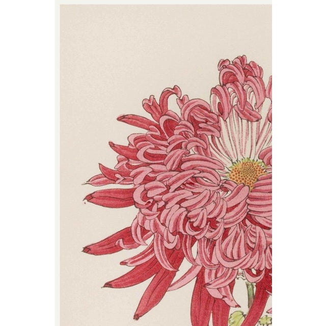 A refined example of late 19th-century Japanese botanical illustration, this vintage art print reproduction features Pink...
