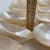 Late 20th Century Caviar Mother of Pearl Bowls - 12 pcs For Sale - Image 12 of 12
