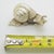 Vintage Italian Handmade Genuine Silver Life Size Snail Solid Figurine, Made in Vicenza (Vi, Italy) For Sale - Image 11 of 11