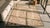 1930s Tan Ecru Floral Folk Art Antique American Hooked Rug 5' 9" X 8' 9" Hand Knotted Wool Carpet For Sale In New York - Image 6 of 7