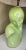 Green Glazed Art Deco Bust With Shade. For Sale - Image 4 of 6