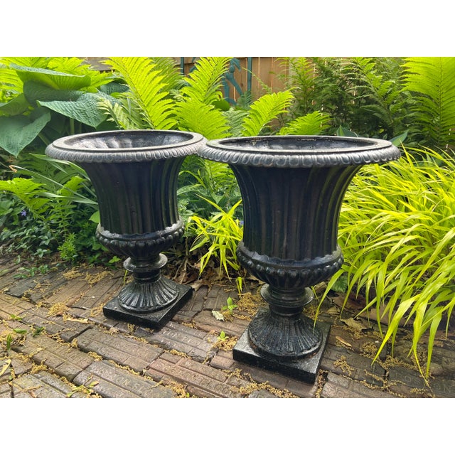 Beautifully detailed Classical English Style cast iron garden urns planters. The detail on these are lovely. They were...