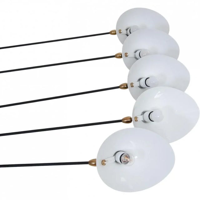 5-Arm Spider Lamp by Serge Mouille For Sale - Image 13 of 17