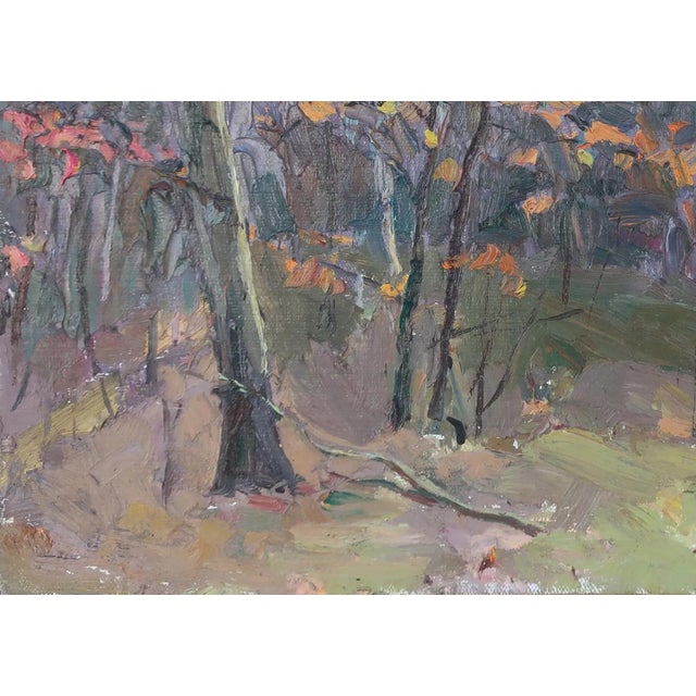 1970s Impressionism Forest Oil Painting, Ukrainian Artist Sokolovsky, 1970s 35-50 For Sale - Image 5 of 6
