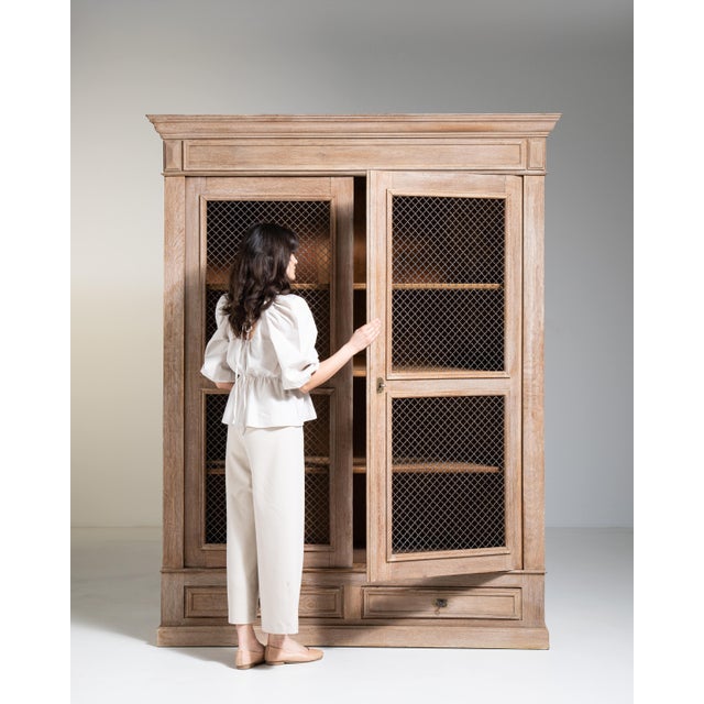 Late 19th Century Louis Philippe Vitrine with Mesh Doors, Antique, France, Circa 1880 For Sale - Image 5 of 17
