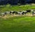 Paper Oil Painting Evening Field Boris Serdyuk For Sale - Image 7 of 10