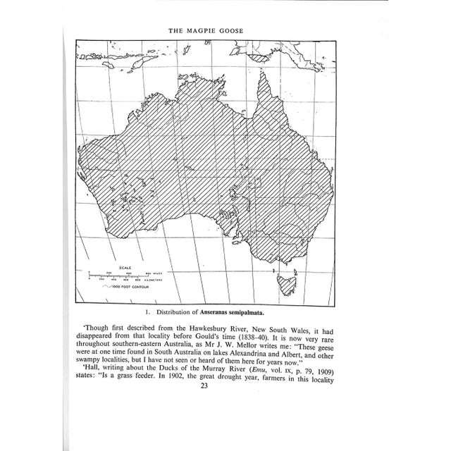 "The Waterfowl of the World: Volumes One & Two" 1956 Delacour, Jean For Sale - Image 10 of 17