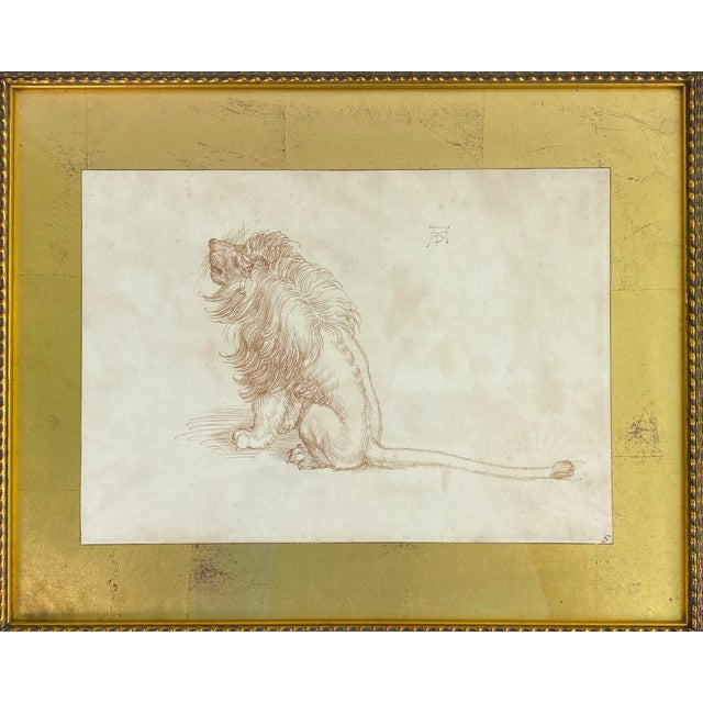 Illustration Albrecht Dürer Style Lion Study Drawing, Framed Old Master Animal Illustration For Sale - Image 3 of 5