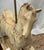 Plastic Limited Edition Indianapolis Children's Museum Replica Carousel Horse Statue With Coa For Sale - Image 7 of 16