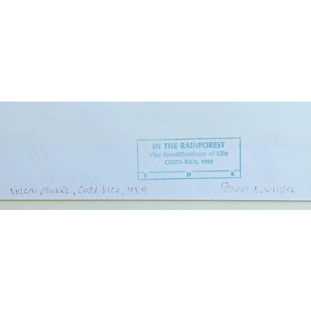 Stuart Klipper "Vulcan Arunel, Costa Rica" Photograph For Sale - Image 4 of 4