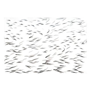 Silver Leaf Chinoiserie Hand-Painted School of Fish Mural (Set of 6) For Sale