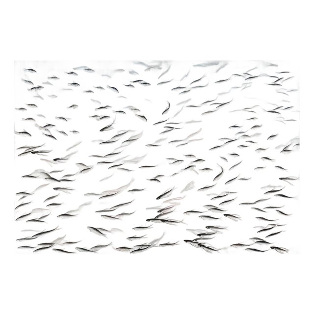Silver Leaf Chinoiserie Hand-Painted School of Fish Mural (Set of 6) For Sale