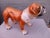 White Ceramic Figure of Bulldog, 1990s For Sale - Image 8 of 10
