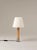 Contemporary Nickel and Natural Básica M1 Table Lamp by Santiago Roqueta for Santa & Cole For Sale - Image 3 of 7