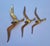 Brass Wall Decor Sculptures of Seagulls, Austria, 1963, Set of 3 For Sale - Image 10 of 14
