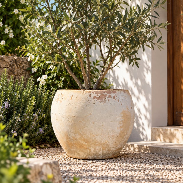 Bring a touch of nature to your home with our rustic large clay planter. Perfect for planting a small olive tree to add...