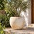 Bring a touch of nature to your home with our rustic large clay planter. Perfect for planting a small olive tree to add...