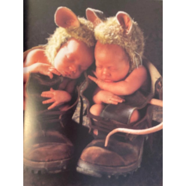 Anne Geddes Down in the Garden Large Hardcover Book 1996 For Sale - Image 10 of 13