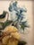 Enjoy year-round spring with the vibrant golds, blues and violets of hand-panted pansies. The artist rendered these...