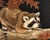 Original Wildlife Painting Pair by Patti Gilley – "Night Crawler" & "Peek-a-Boo" Raccoon Art For Sale - Image 15 of 18