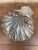 19th-Century English Regency Silver-Plate Clam Shell Serving Dish For Sale - Image 9 of 11
