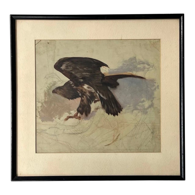 Antonie Fromholz Birnbach (German, 19th C.) Oil Painting on Unstretched Canvas, Portrait of a Full-Bodied Hawk in Profile For Sale