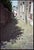 Paul Cooklin, Cobbled Streets, Granville, France, Edition of 50 For Sale - Image 7 of 7