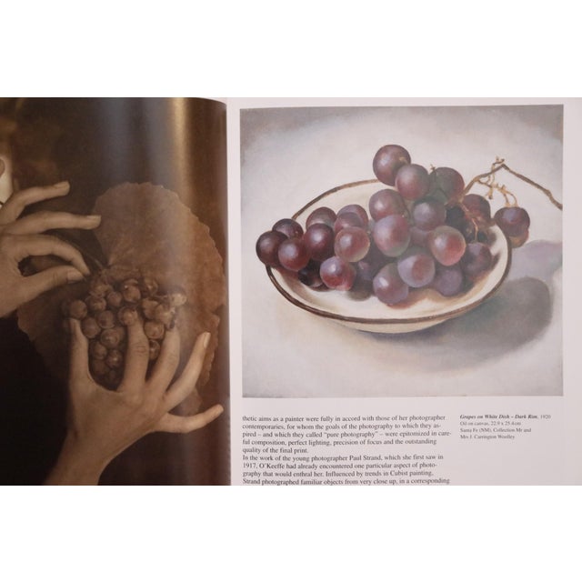 Georgia O'Keeffe Books, Set of 3 For Sale In Tampa - Image 6 of 9