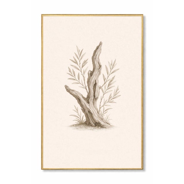 A refined botanical study featuring sculptural driftwood paired with delicate coastal foliage, set against a softly...