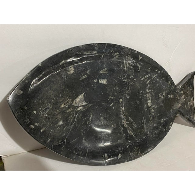 One solid piece of natural fossil rock was carved and polished to create this tray. Enjoy gazing at the ancient fossil...