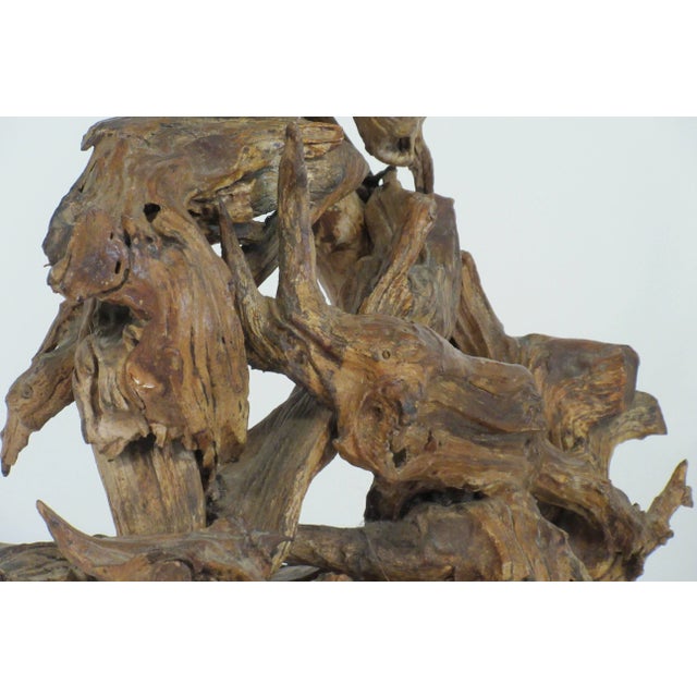 Wood 1960s Drift Wood Lamp For Sale - Image 7 of 9