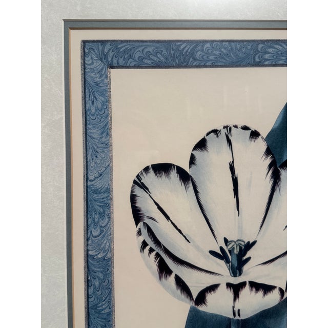 Vintage Traditional Victorian Blue Floral Botanical Gold Framed Reproduction Prints, a Pair For Sale - Image 12 of 17