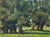 Study in Green by Harold Deist | Oil on Panel Landscape with trees and grassy ground. For Sale