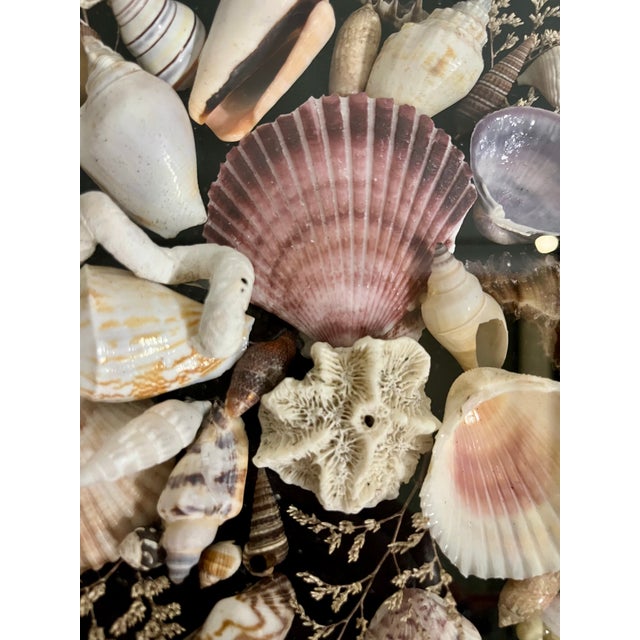 Vintage Wood Framed Seashell Shadow Box Folk Art Wall Sculpture For Sale - Image 9 of 12