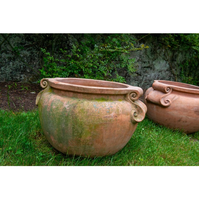 Handcrafted Enzo Zago Terracotta Planters, Baroque Revival, 1970s, , 2 Pieces, Attributed For Sale - Image 11 of 13