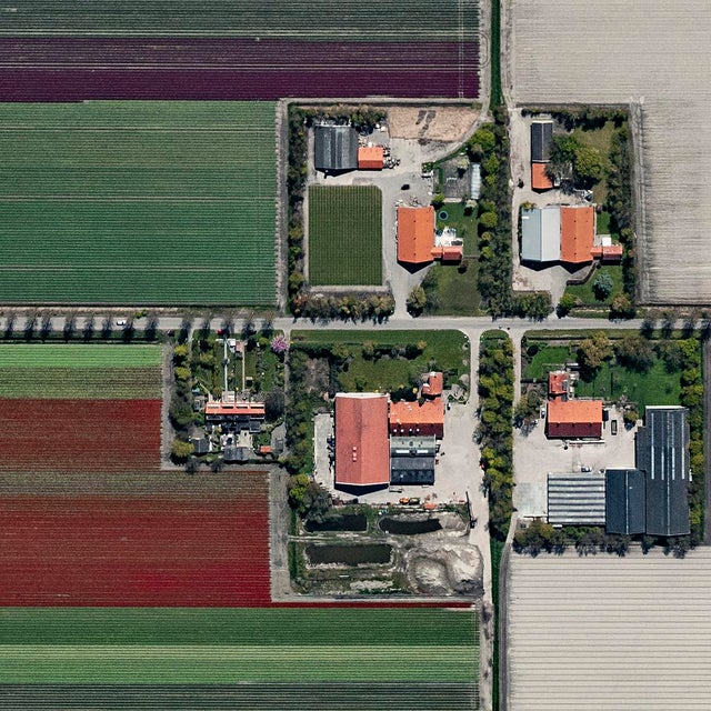 "AV_Tulip_Fileds_001" Contemporary Limited Edition Fine Art Photograph Print by Bernhard Lang For Sale - Image 4 of 9