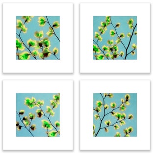 Botanical Art Print Set of 4 Piece "Leaves of Spring" 32x32 by Angela Cameron For Sale