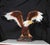 Coloured Bronze American Golden Eagle Statue For Sale - Image 9 of 10