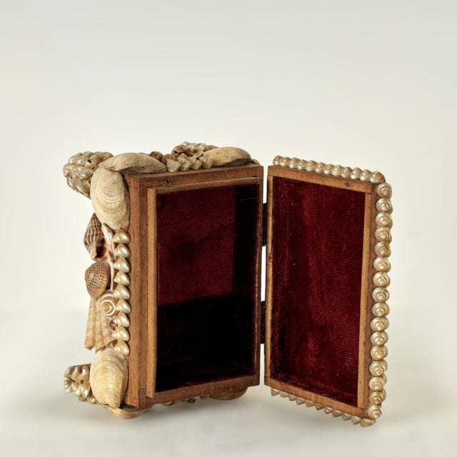 Antique English Seashell Encrusted Music Box For Sale - Image 9 of 12