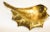 1950s Vintage Brass Bowl in the Shape of a Large Leaf, Italy, circa 1950 For Sale - Image 5 of 13