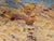 Contemporary Giampaolo Talani "A Summer Day" Oil on Board, Seascape Beach Painting, Tuscan Coastal Art, Contemporary Art by Italian Master For Sale - Image 3 of 11