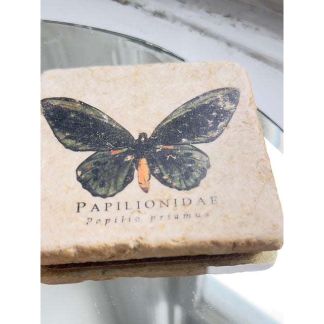 Hollywood Regency Vintage Late 20th Century Italian Marble Coasters With Butterfly and Botanical Illustrations - Set of 5 For Sale - Image 3 of 9