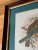 Antique Original John Gould English Bird Print, Framed For Sale - Image 4 of 7