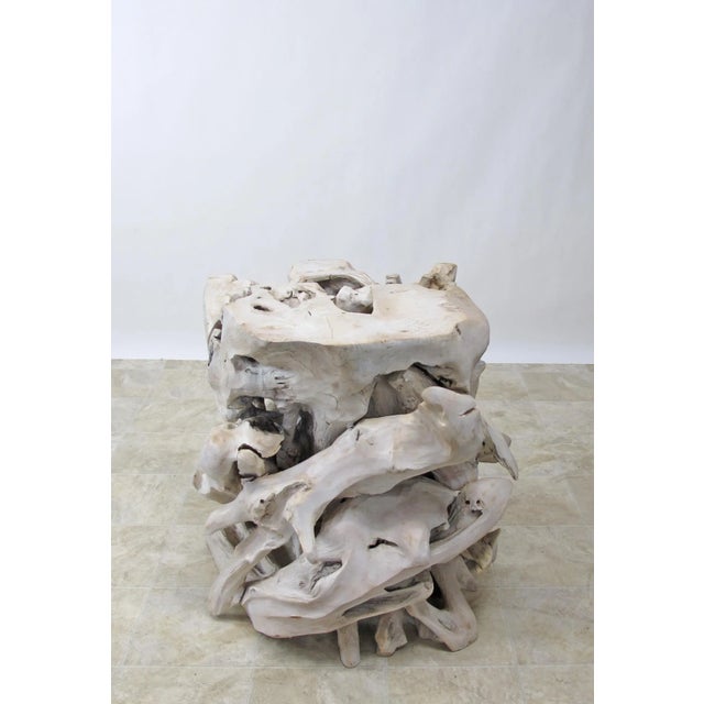 Contemporary Organic Modern Teak Root Sculpture 2 For Sale - Image 4 of 10