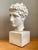 A striking tribute to the enduring beauty of classical antiquity, this vintage plaster bust depicts a noble Roman warrior...