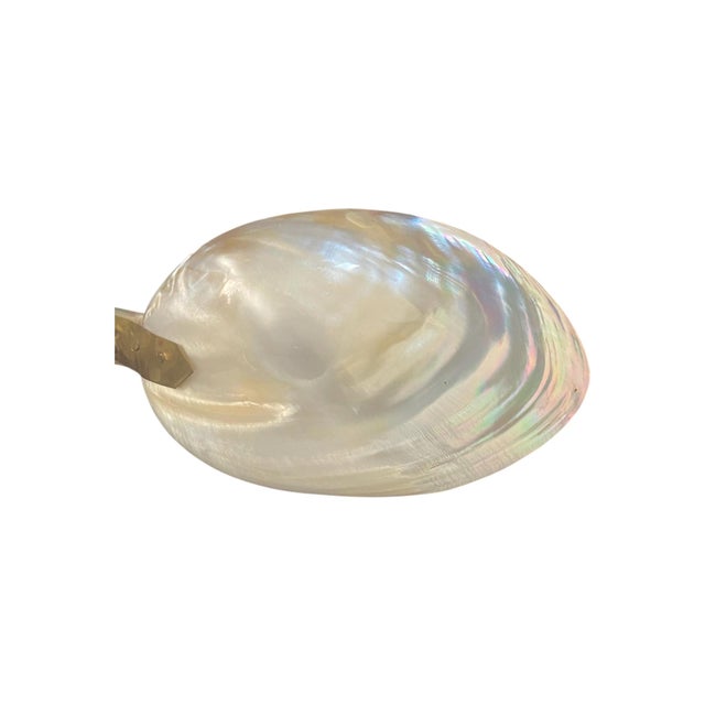 1970s 20th Century Organic Sculptural Mother-of-Pearl Shell Caviar Serving Spoon For Sale - Image 5 of 9