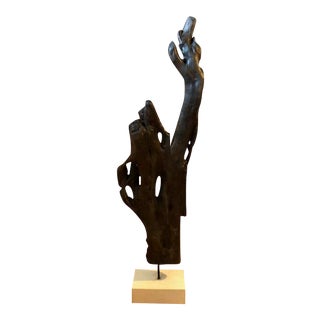 Driftwood Sculpture on Concrete Block For Sale