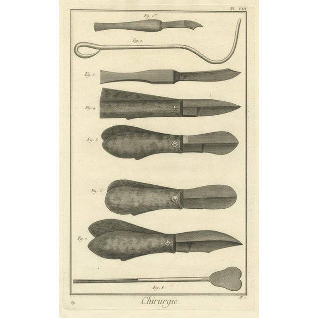 Beige Antonio Baratti, Folding Surgical Knives, Diderot Chirurgie Plate Viii, 1772, Engraving For Sale - Image 8 of 8