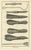 Beige Antonio Baratti, Folding Surgical Knives, Diderot Chirurgie Plate Viii, 1772, Engraving For Sale - Image 8 of 8
